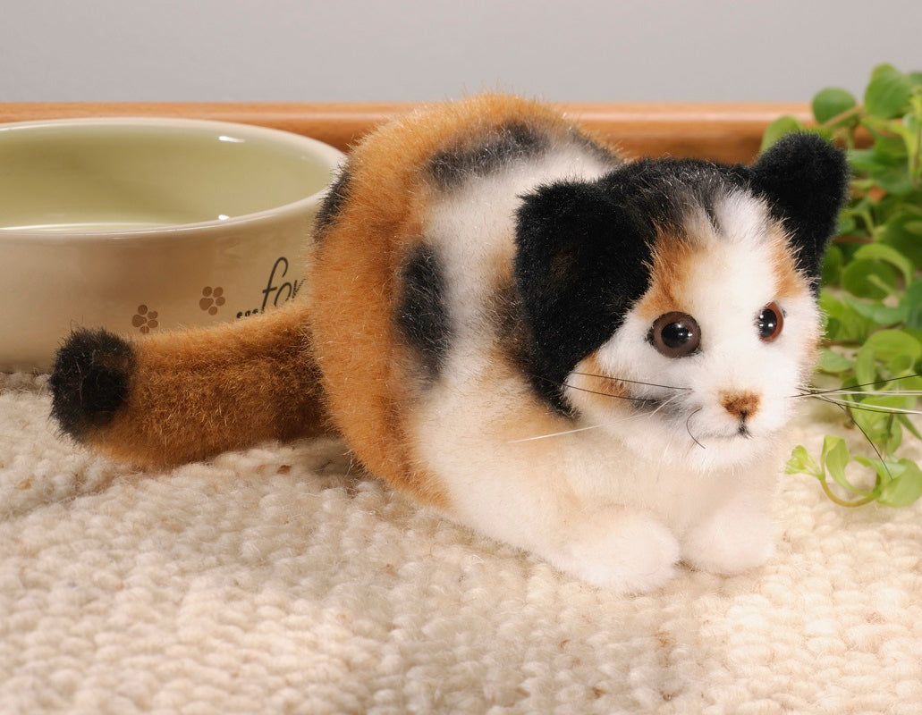 tortoiseshell cat teddy