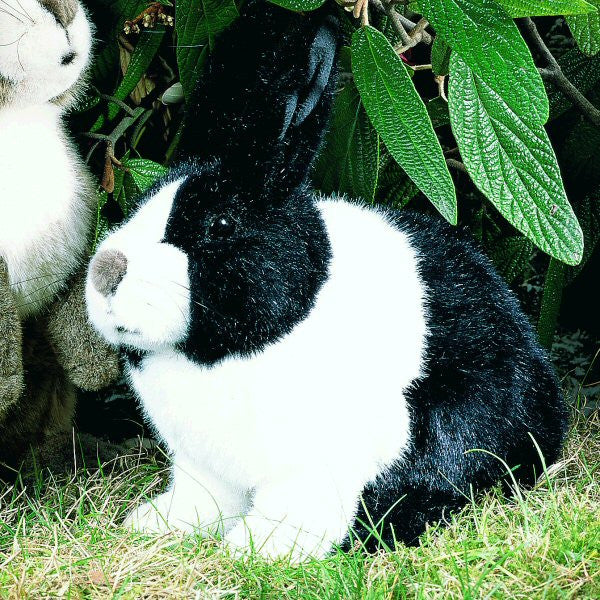 dutch rabbit stuffed animal