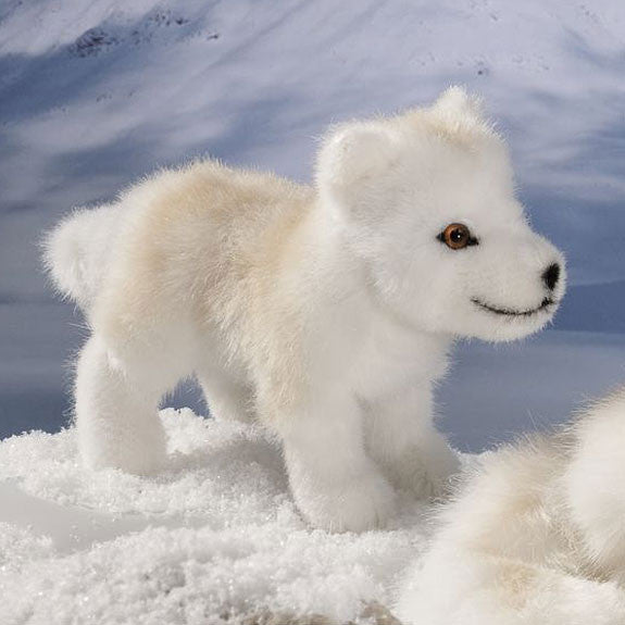 kosen_polar_wolf_puppy_6080_grande