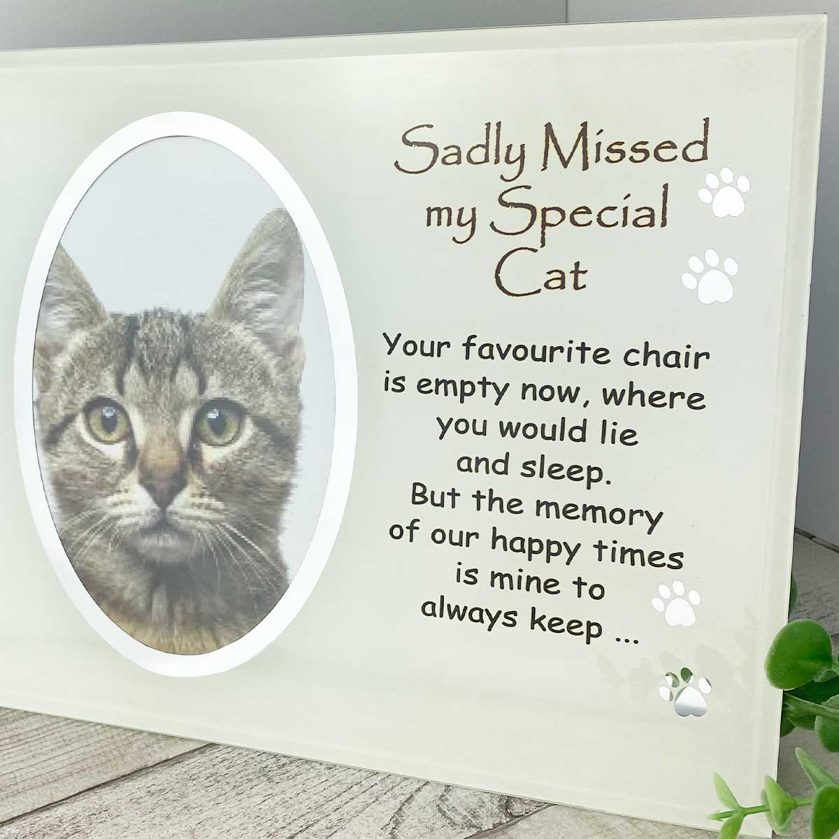 Sadly Missed My Special Cat Memorial Glass Frame