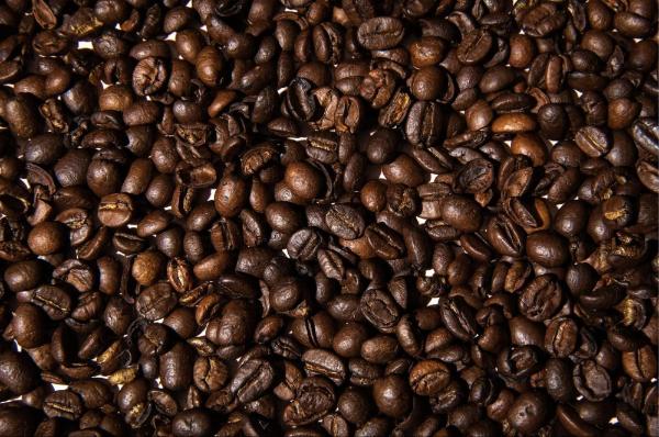 robusta is the most coffee bean type in vietnam