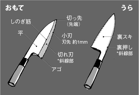 片刃の包丁のパーツや構造の説明図