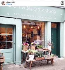 Botanique Workshop Best London plant shops