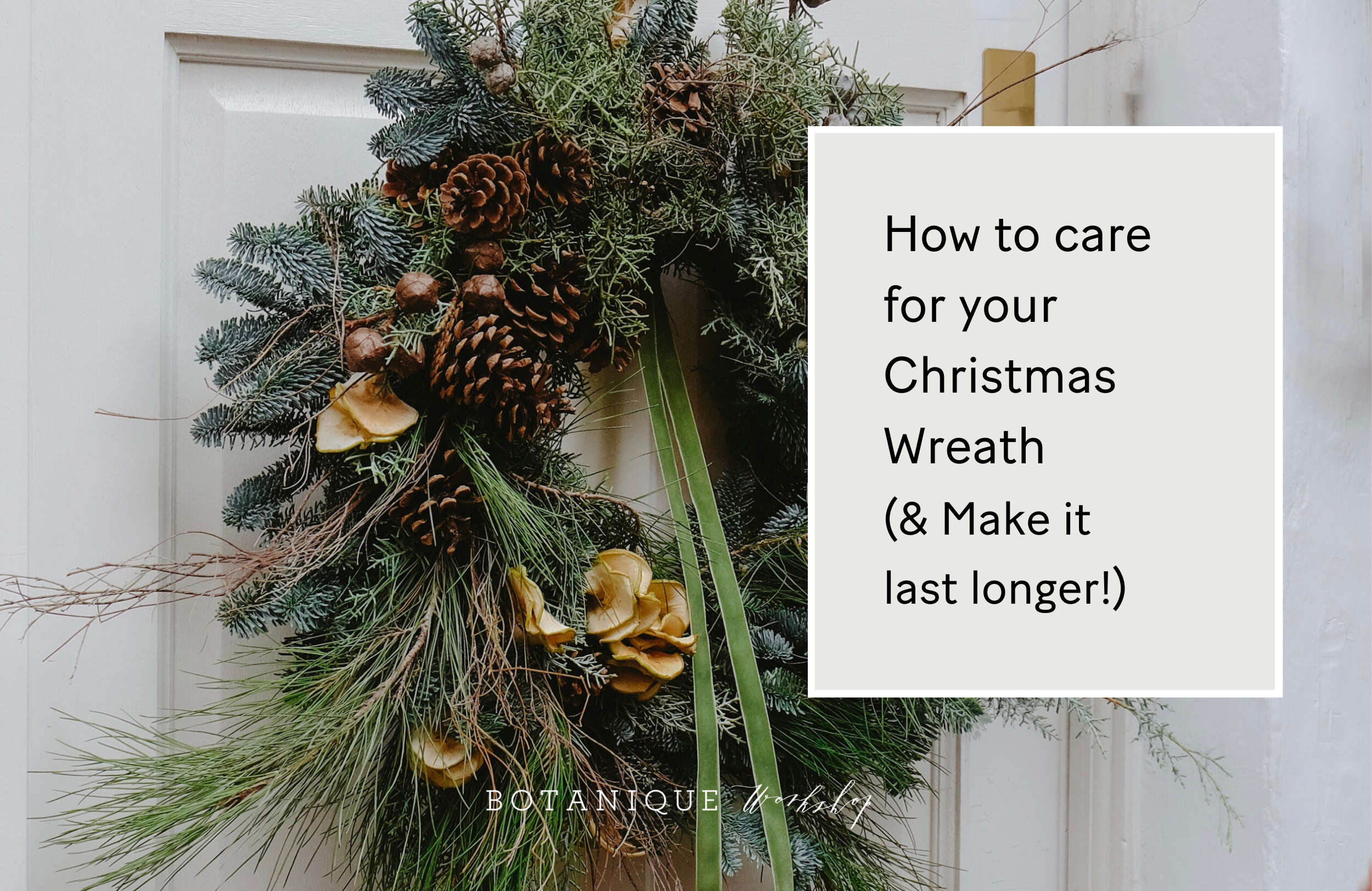 how to care for your christmas wreath and how to make it last longer