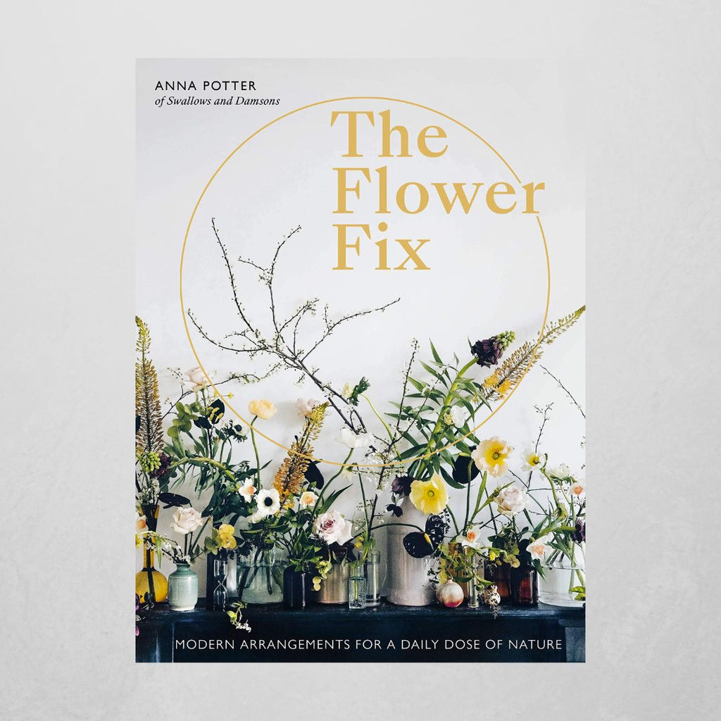 Modern fix. Anna Potter. Nature Fix book.