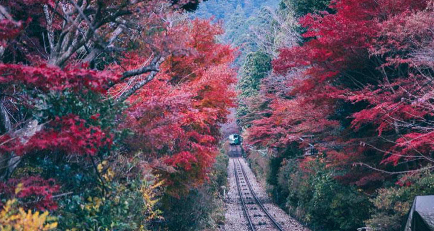 筑波山