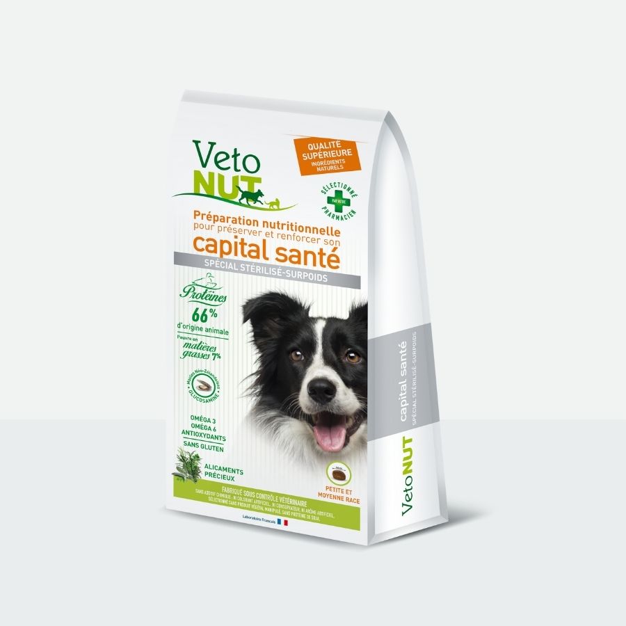 Solipat - Fortifiant coussinets pour chien. Soins et santé de votre chien,  chiot : Morin, pharmacie vétérinaire.