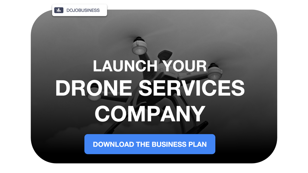 drone services company profitability