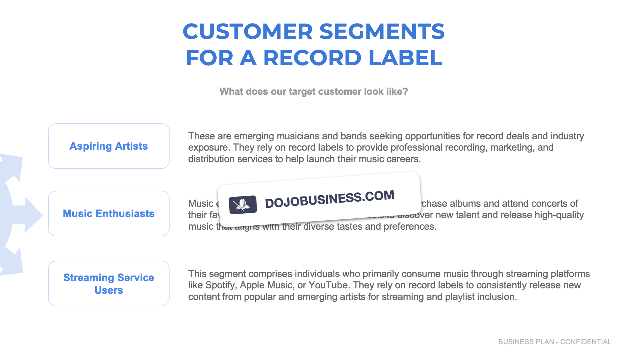 customer segmentation record label