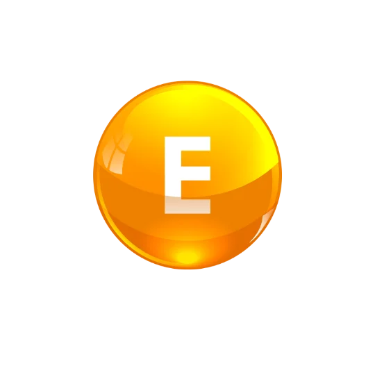 6_5644a69e-b1ca-4272-8685-fea42e6897e4