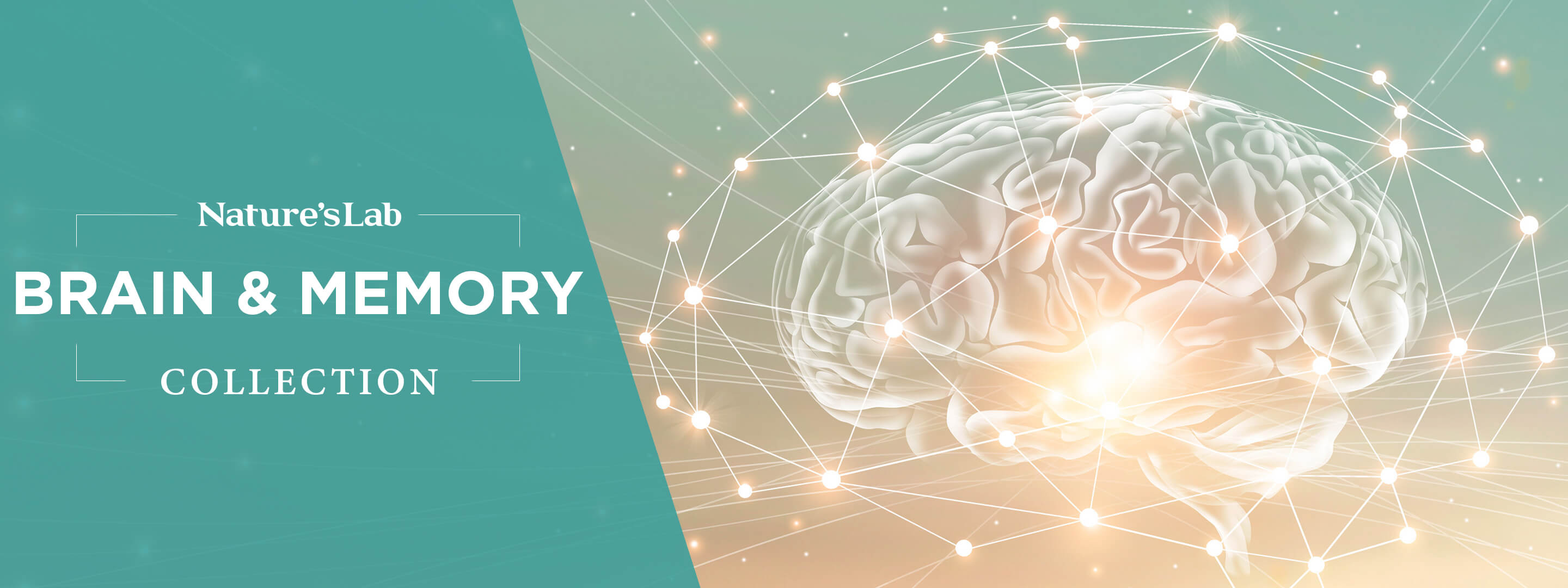 Brain Memory Health Products From Nature s Lab brain-memory-health-products-from-nature-s-lab