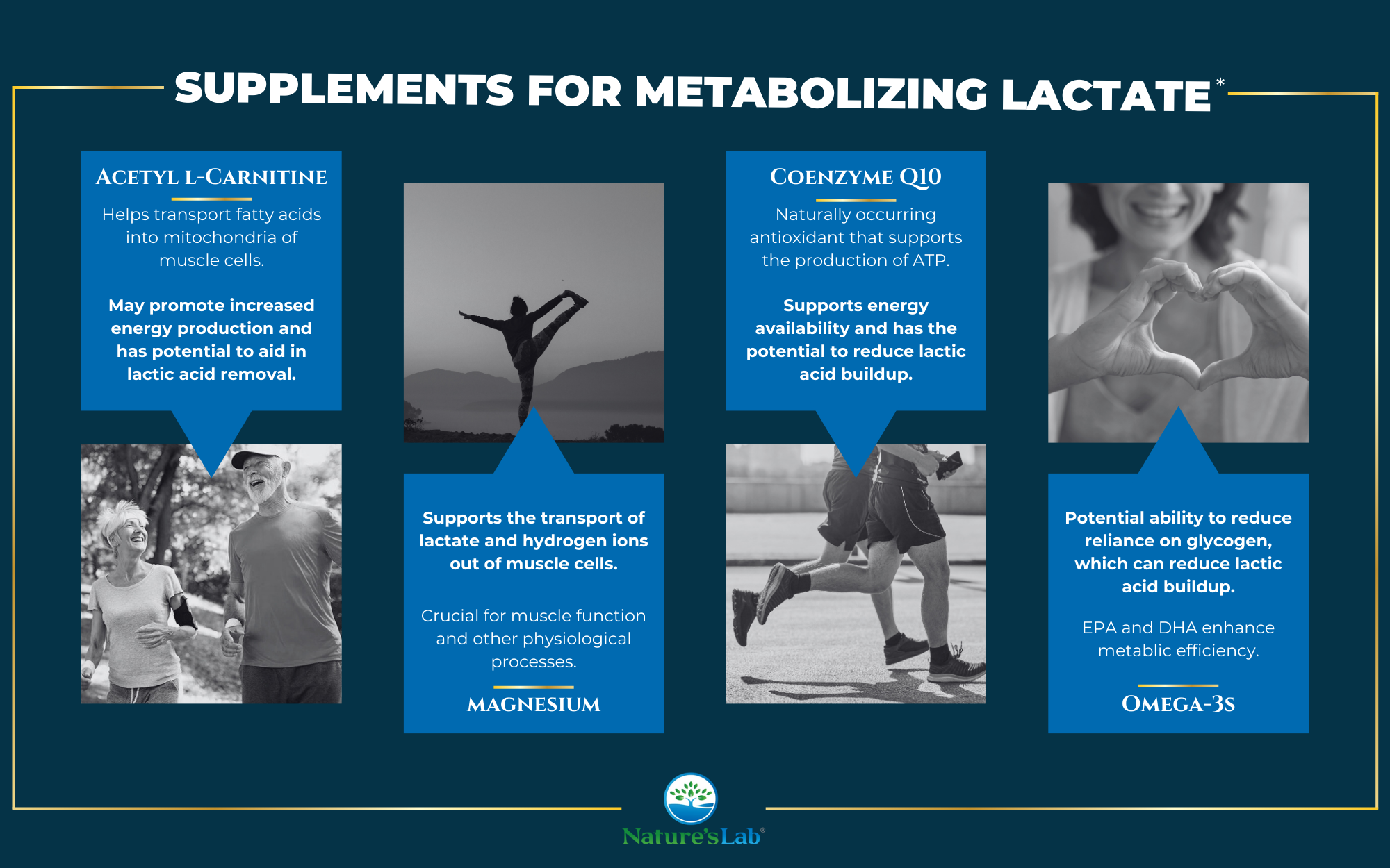 Supplements that may help reduce lactic acid buildup infographic