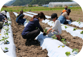 坂城町 工業と農業の画像