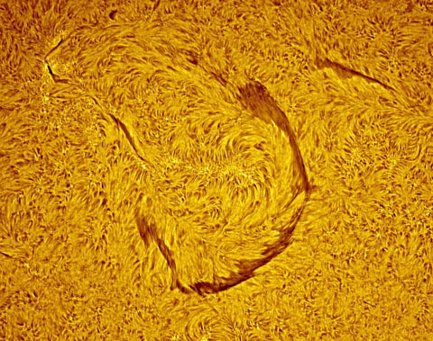 Coronado Solar Image