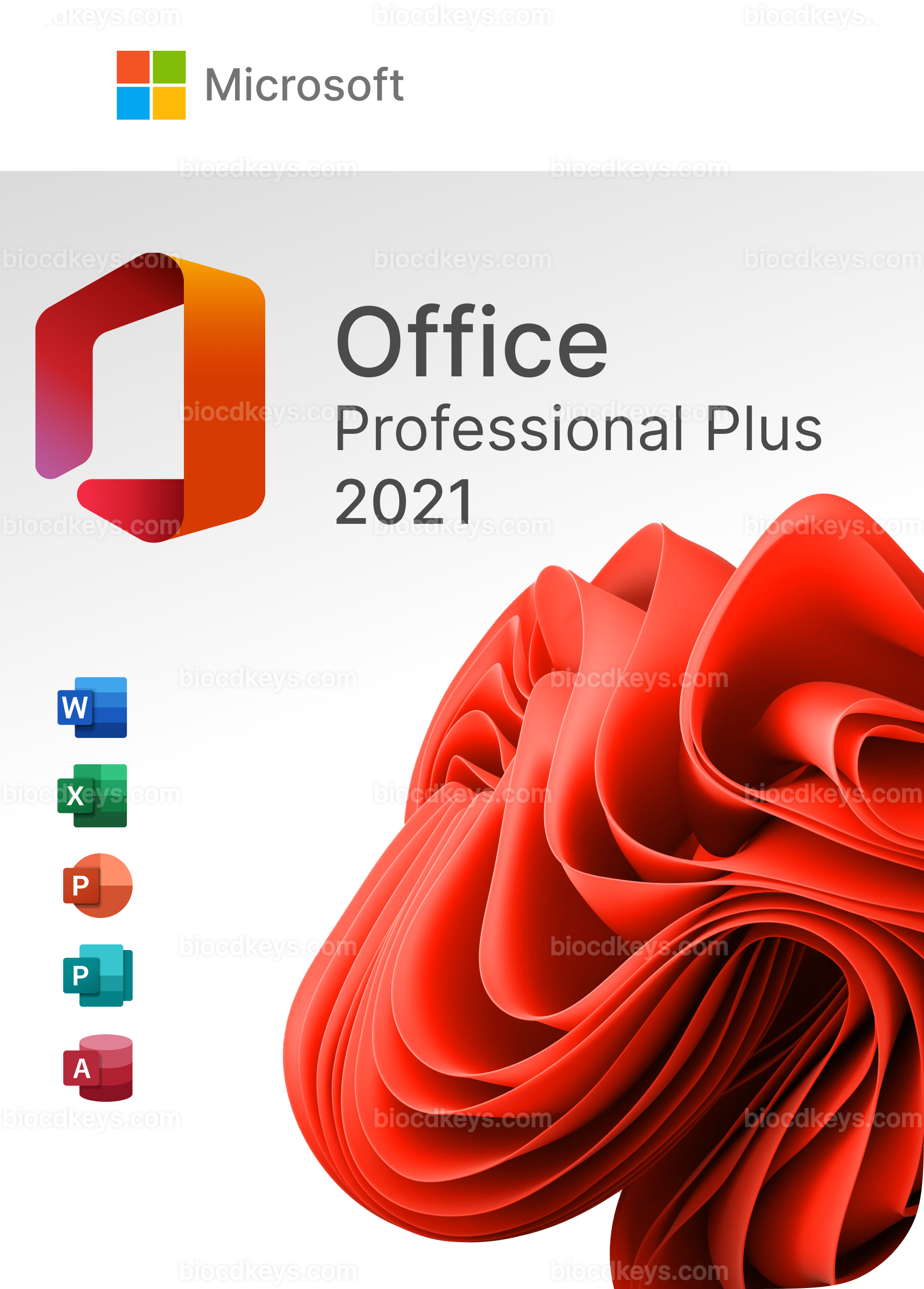 OFFICE 2021 PROFESSIONAL PLUS EDITION BUY SERIAL KEY – BIOCDKEYS