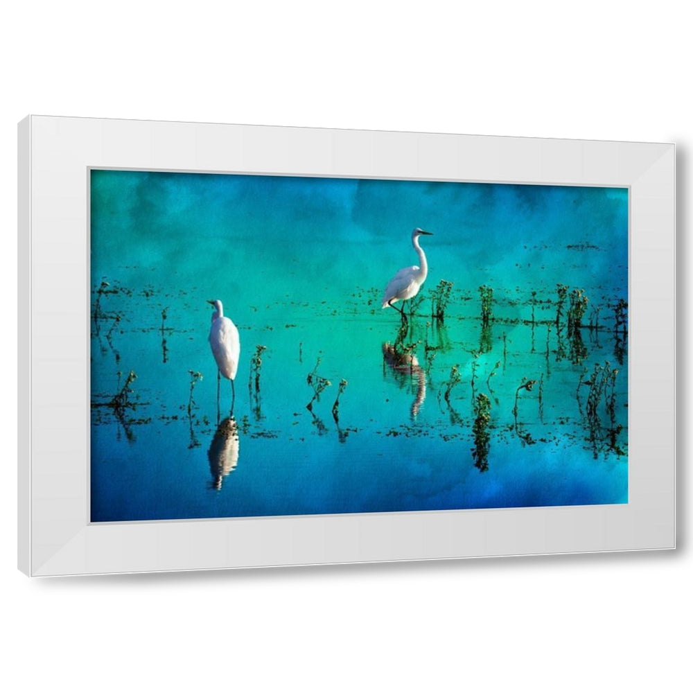 Wading Herons II White Modern Wood Framed Art Print by Hausenflock, Alan