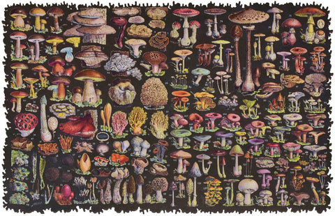 The front of the puzzle, Mushroom