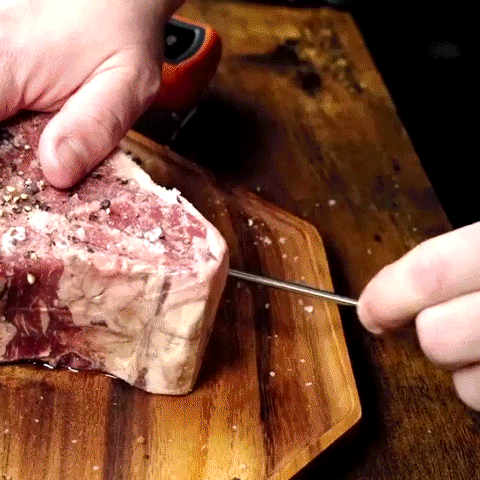 https://cdn.shopify.com/s/files/1/0749/8701/2415/files/a-Wireless-Meat-Thermometer_480x480.gif?v=1683791253