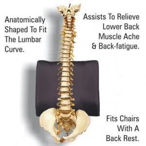 Body Assist Deluxe Back Rest Cushion