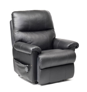 Borg Leather Dual Motor Rise Recliner