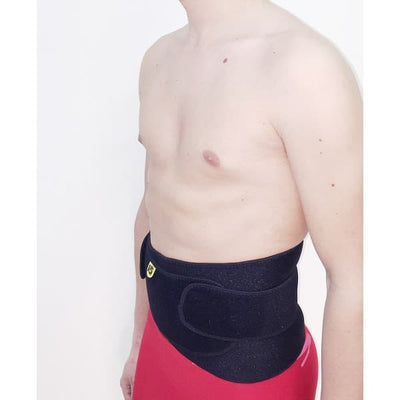 Magnetic infrared back support with stays