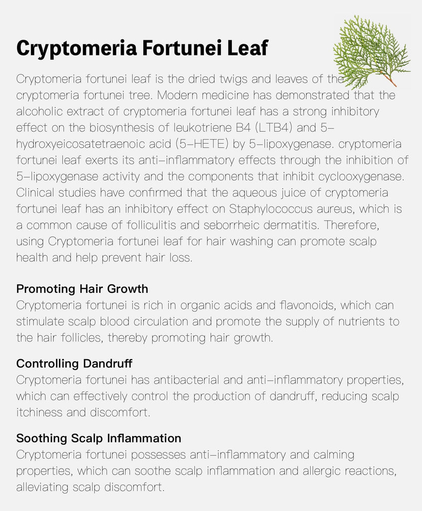handmade cryptomeria fortunei leaf shampoo bar - volumizing
