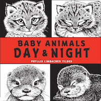 Baby Animals Day & Night book cover