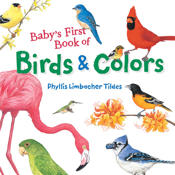 Baby's First Book of Birds & Colors book cover