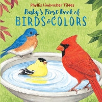 Baby's First Book of Birds and Colors