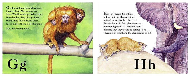The Furry Animal Alphabet Book – Charlesbridge