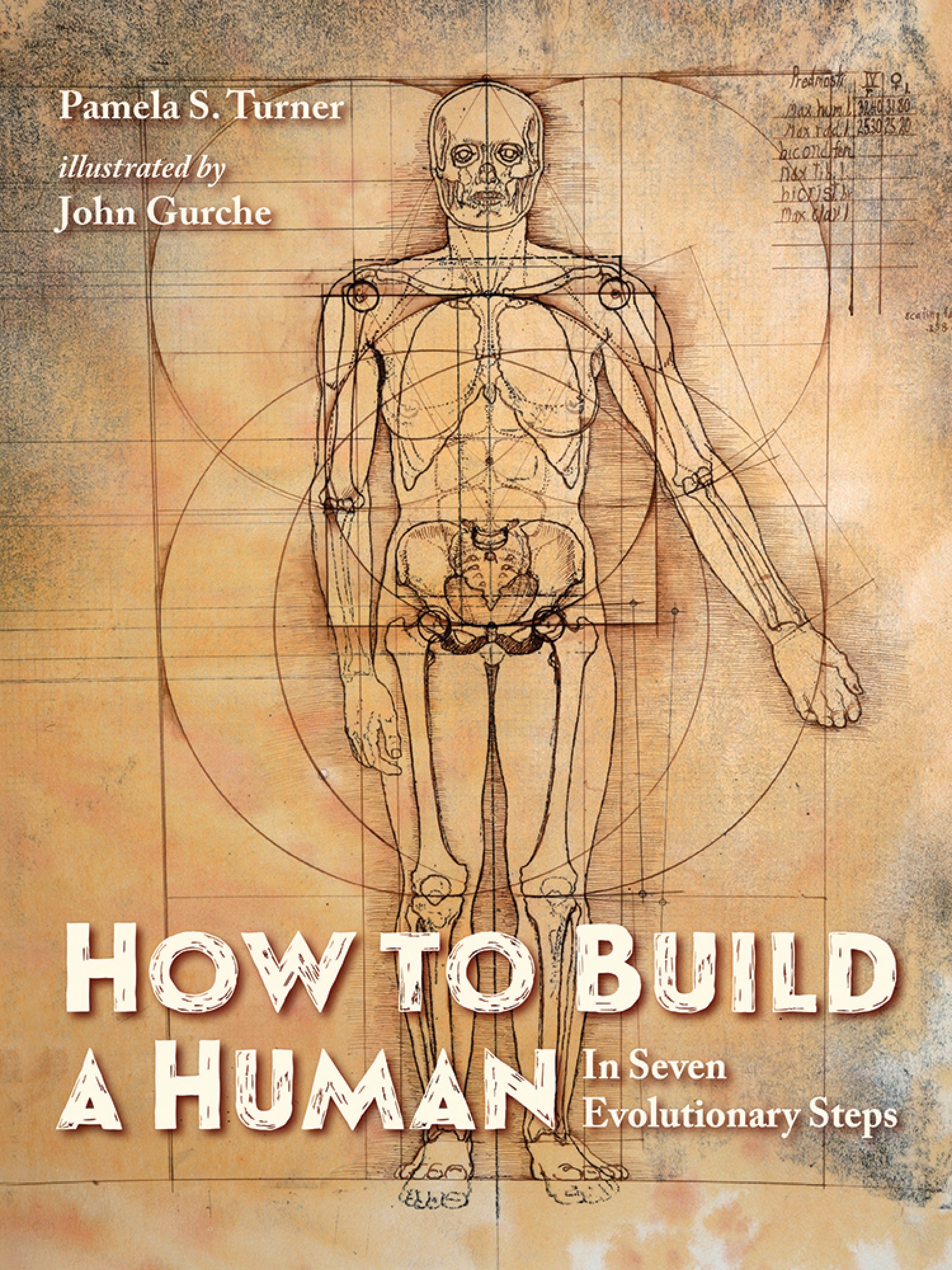 How to Build a Human