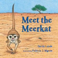 Meet the Meerkat