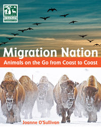 Migration Nation Animals On The Go From Coast To Coast