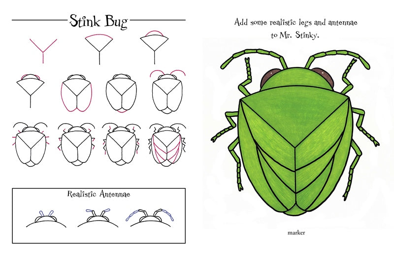 Step by Step Drawing Book - Incredible Insects