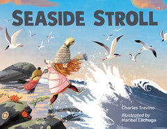 Seaside Stroll book