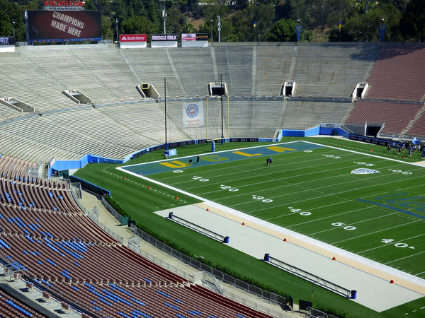 rose bowl