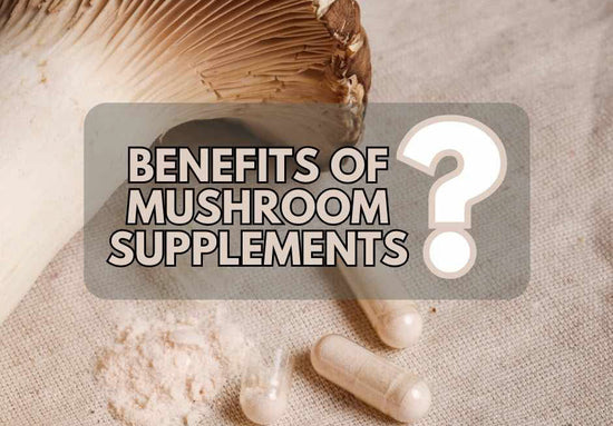 Benefits of Mushroom Supplements