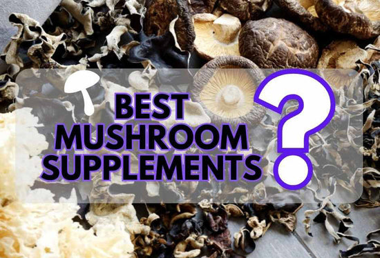 best mushroom supplements