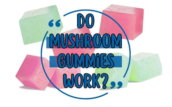 Do Mushroom Gummies Work