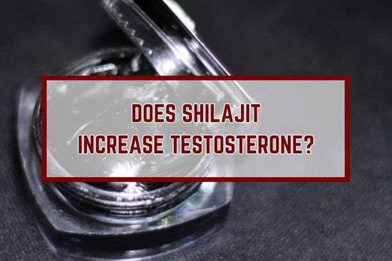 Does Shilajit Increase Testosterone