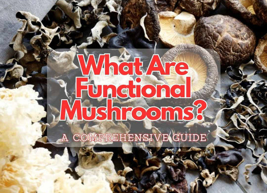 What Are Functional Mushrooms