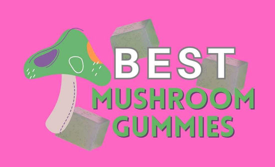 Best Mushroom Gummies