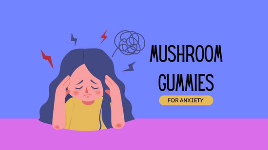 Mushroom Gummies for Anxiety