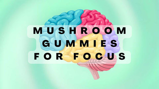 Mushroom Gummies for Focus