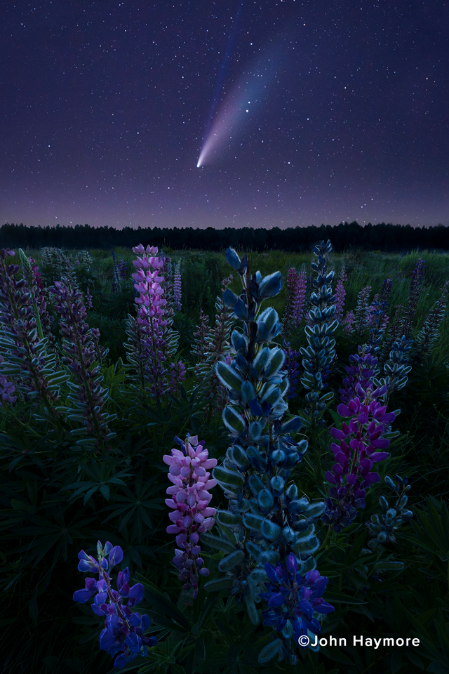 comet neowise by john haymore