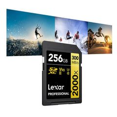 Action shot examples on the Lexar V90 SD cards