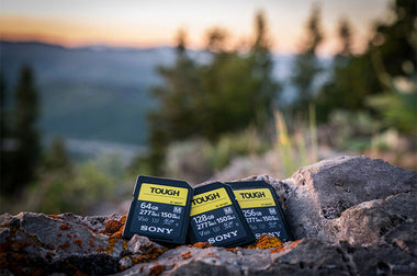 Sony Tough SD cards with sunset in background