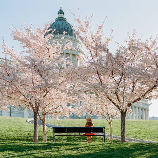 Utah State Capitol by eric bunch