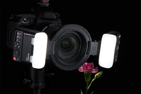 Godox MF12 flashes shining on a close up of a flower