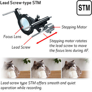 STM focus motor diagram